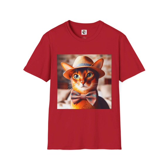 Abyssinian