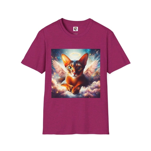 Abyssinian