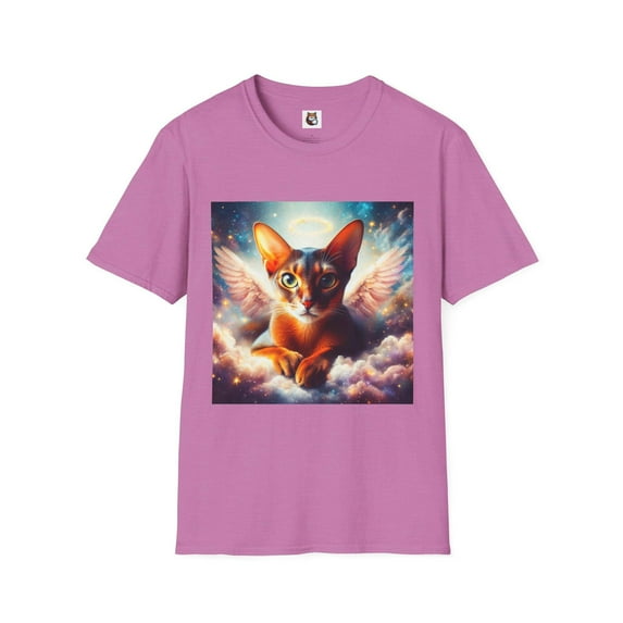 Abyssinian