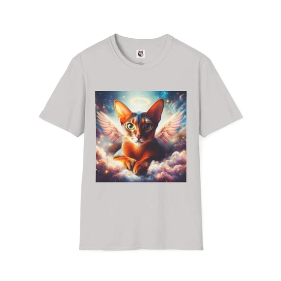 Abyssinian