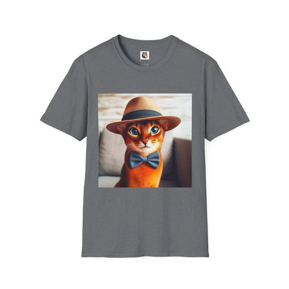 Abyssinian