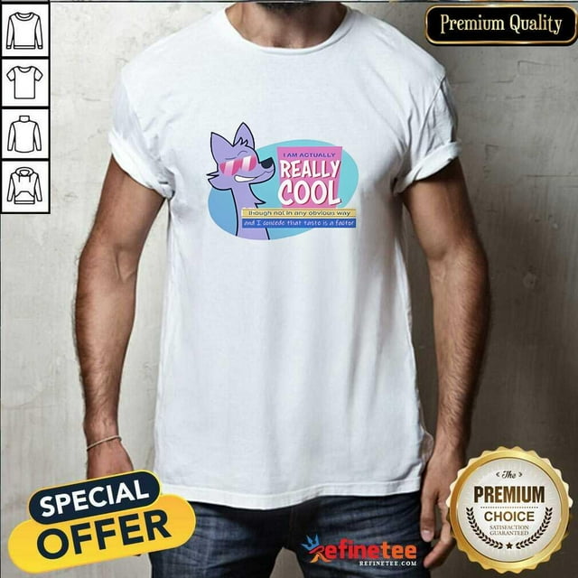 Ac Stuart I Am Actually Really Cool T-Shirt