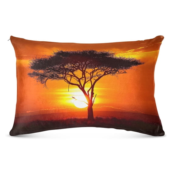 Acacia Tree and Sunset Plush Pillow Cases Queen Size Ultra Soft Warm Pillowcases with Zipper 20"x30"
