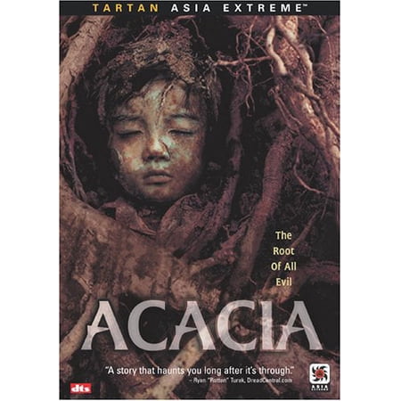 Acacia