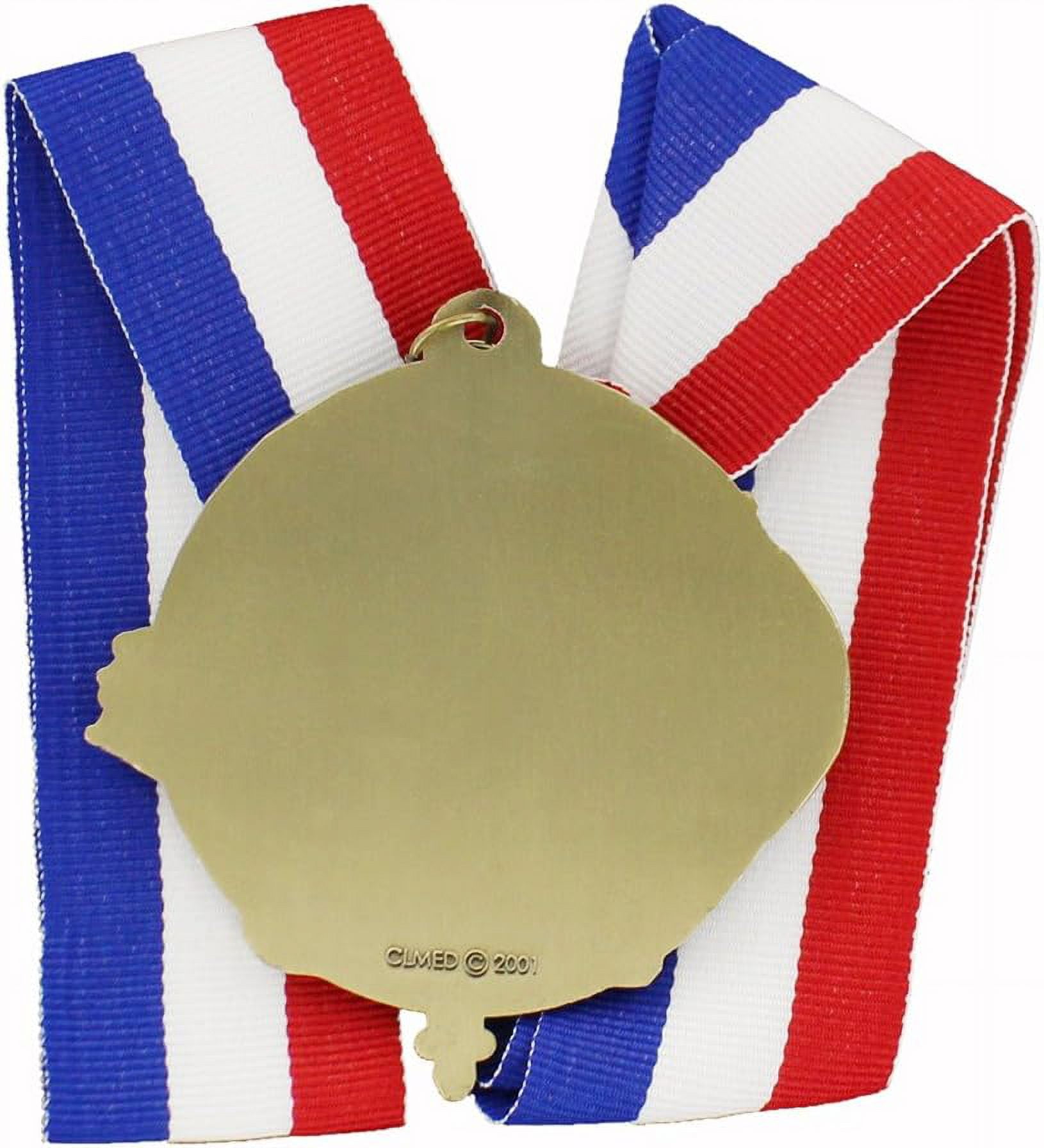 Academic Award Medal with Neck Ribbon, Principal's Award Imprint, Pack ...