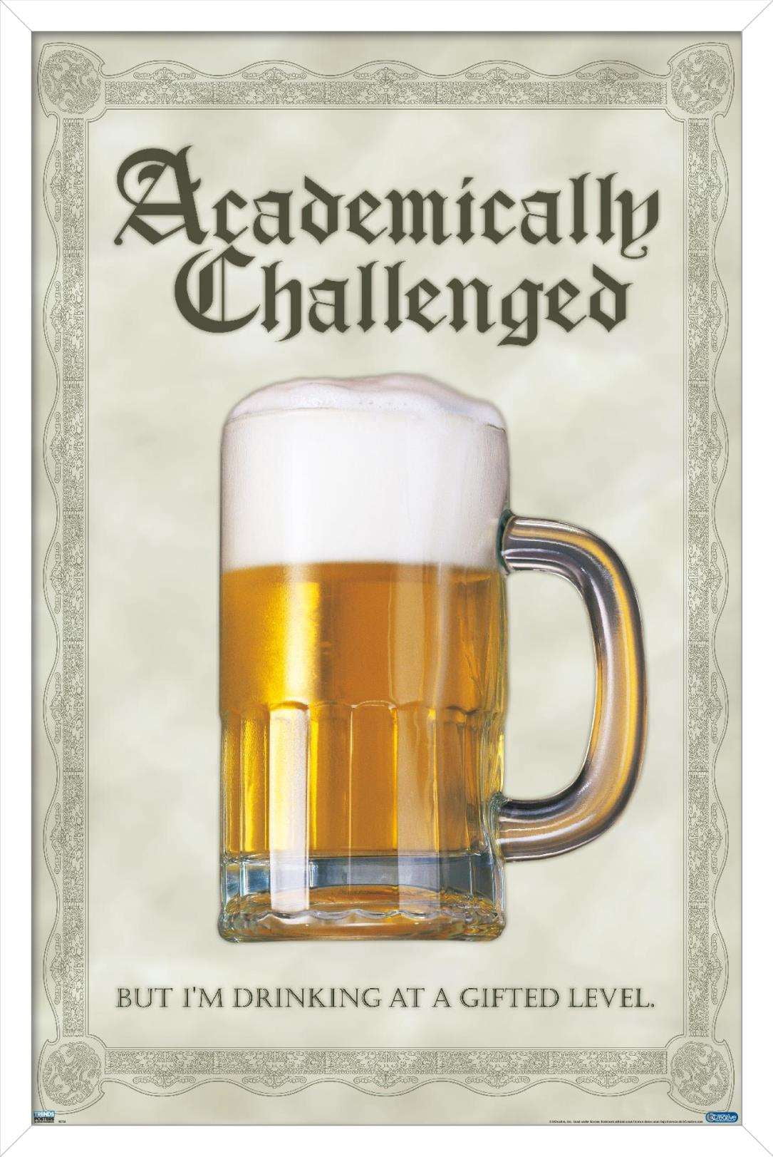 Academically Challenged Wall Poster, 14.725" x 22.375", Framed