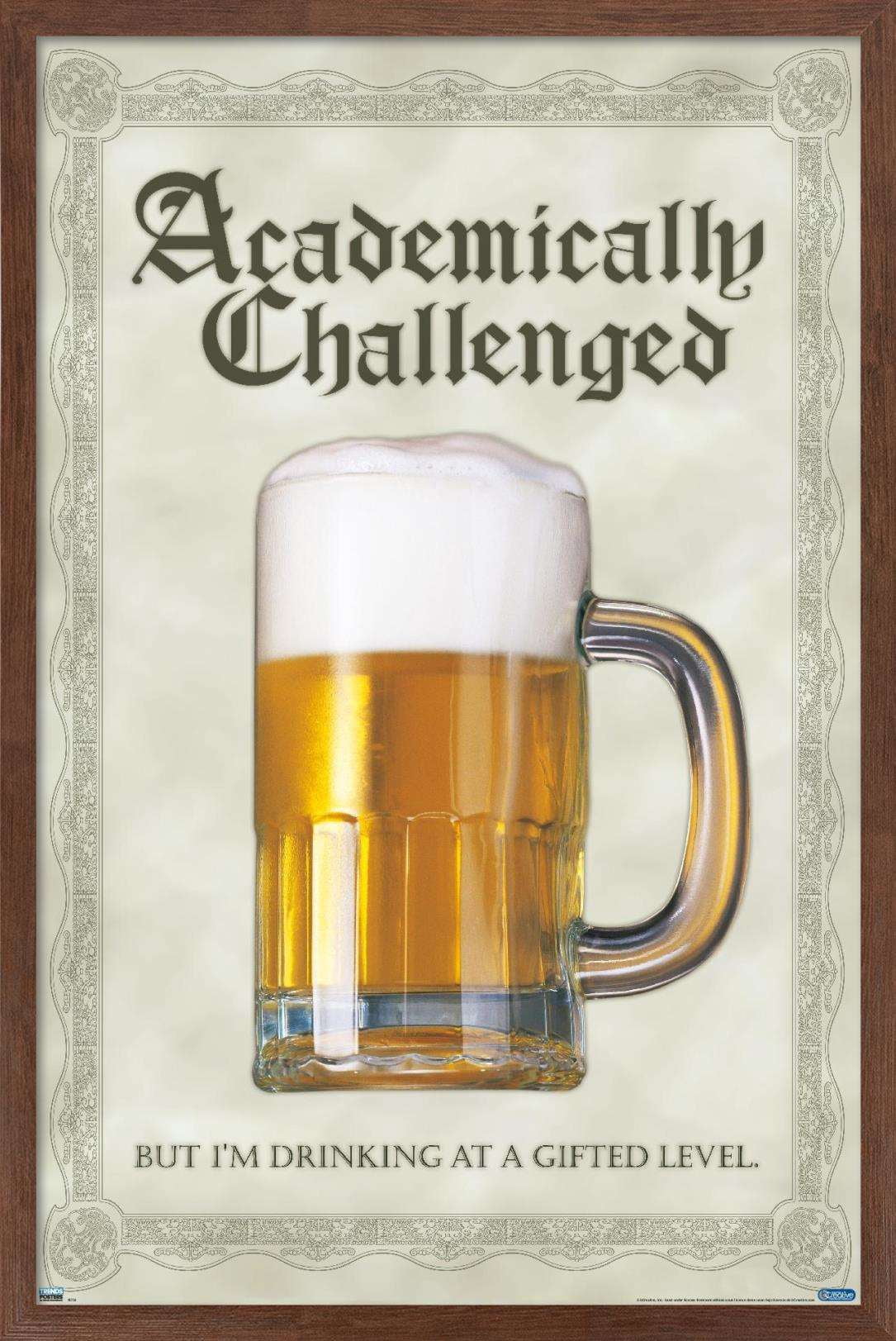 Academically Challenged Wall Poster, 14.725" x 22.375", Framed