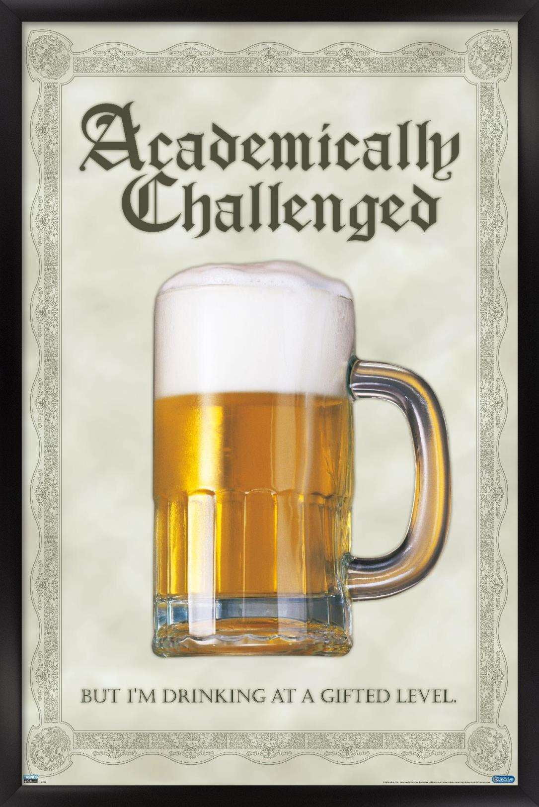 Academically Challenged Wall Poster, 22.375" x 34", Framed