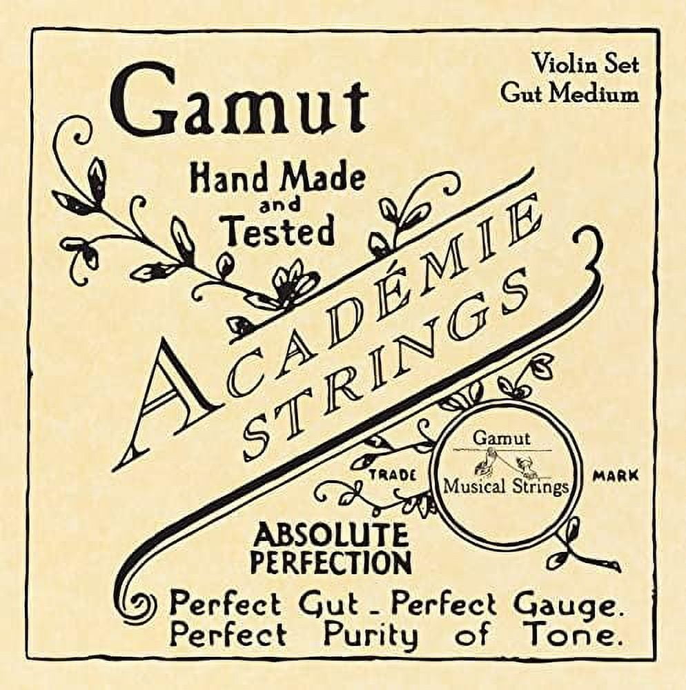 Academie Violin Strings Medium Gauge