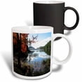 thumbnail image 1 of 3drose, Acadia National Park - Eagle Lake, 11oz Magic Transforming Mug, 1 of 7