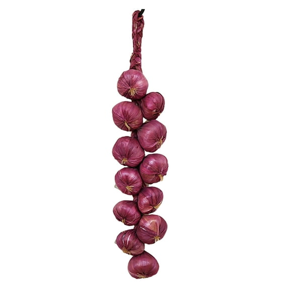 Acahhotxx Artificial String, 1Set Artificial Hanging String, Simulation Vegetable Fruit Garlands Vine for Home Farm Party Wall Decor - Purple Skin Garlic