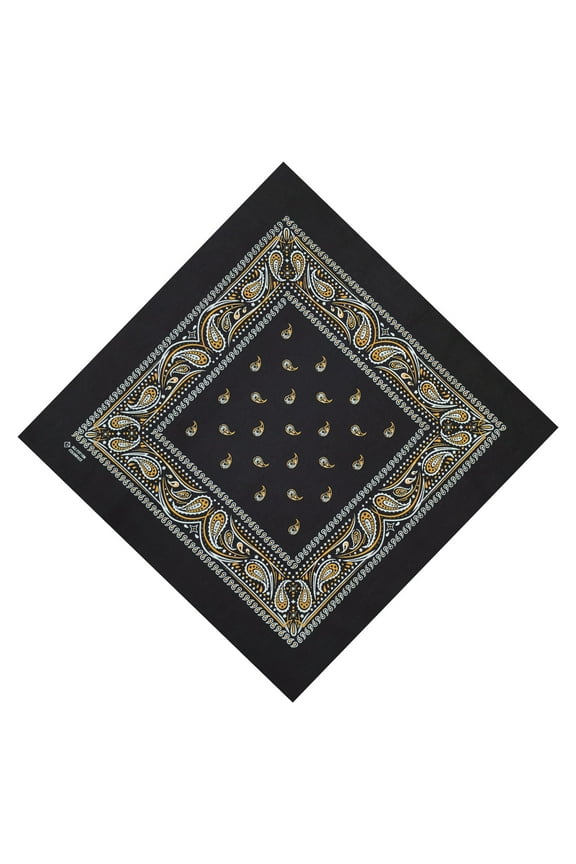 Hiphop Square Scarf, Paisleys Pattern Handkerchief Bandanas Multipurpose Handkerchief Outdoor Scarf for Men and Women Neckwear