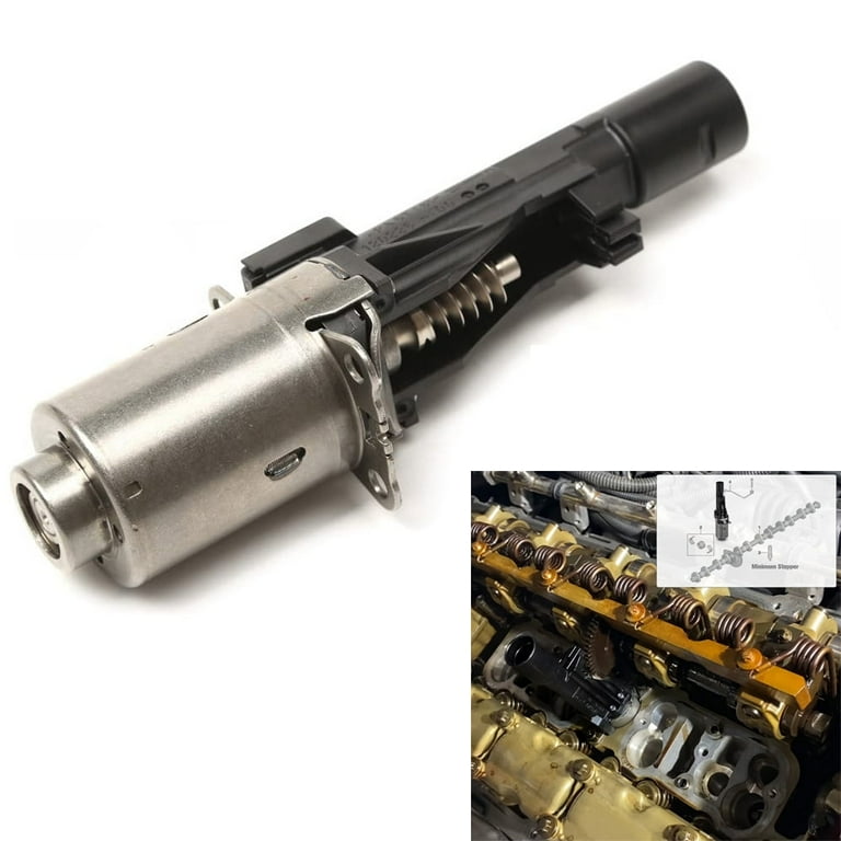 Acaigel Eccentric Shaft Actuator for Valvetronic System