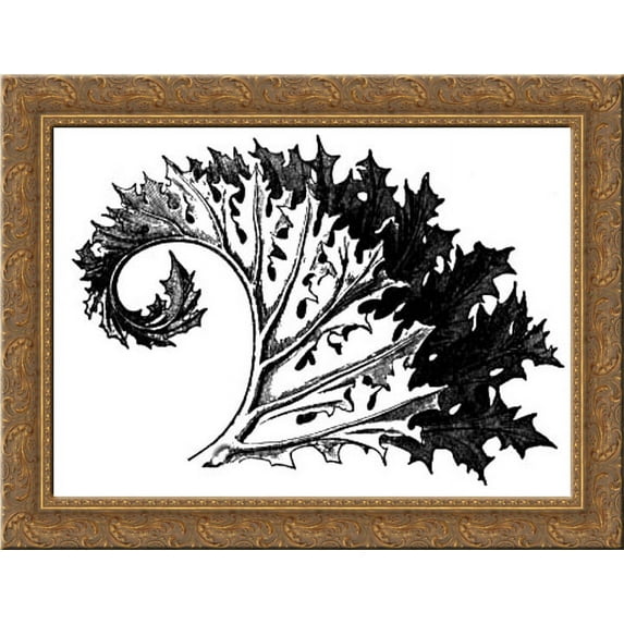 Acanthus 24x18 Gold Ornate Wood Framed Canvas Art by John Ruskin