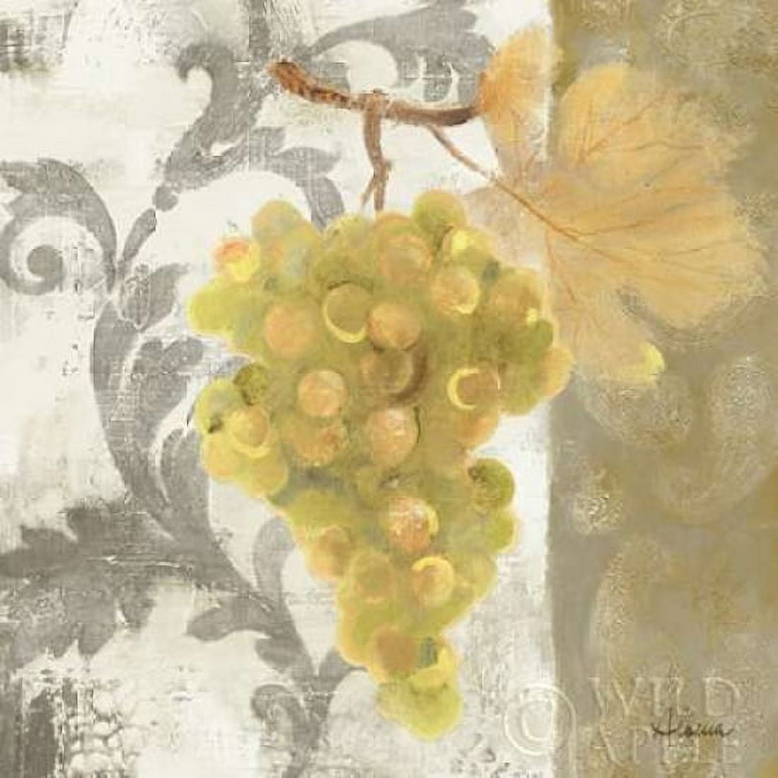 Acanthus and Paisley With Grapes II Canvas Art - Albena Hristova (24 x 24)