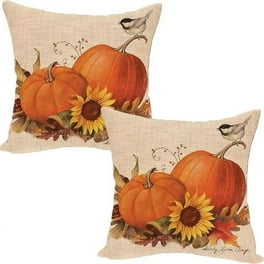 Walmart fall outdoor pillows deals