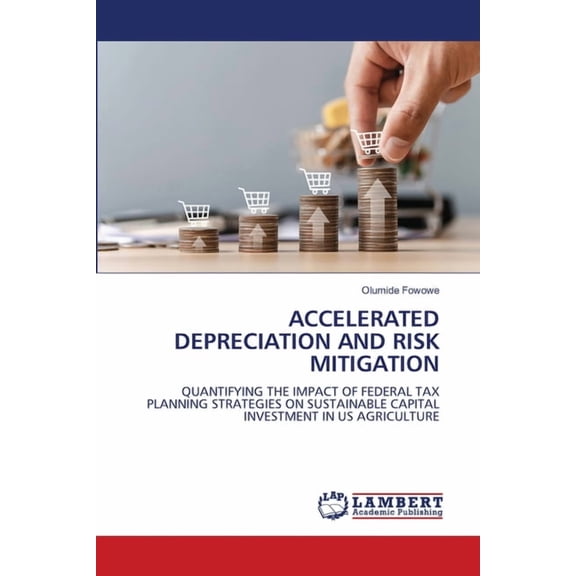 Accelerated Depreciation and Risk Mitigation, (Paperback)