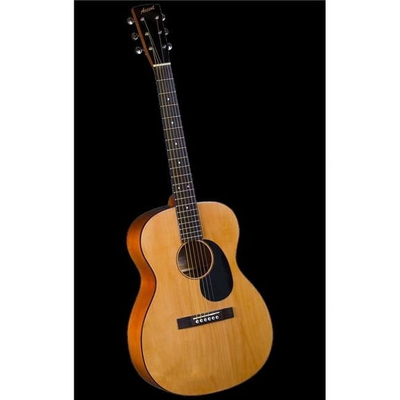 Accent CS-2 Acoustic Folk Guitar