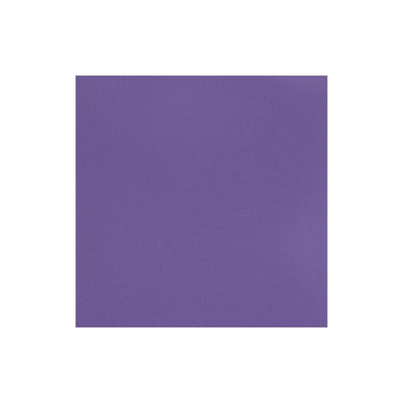 Paper Accents Muslin Texture Cardstock, Royal Iris, 12x12 Inch, 25 Pack, 73lb, Scrapbooking Card Making and Crafts