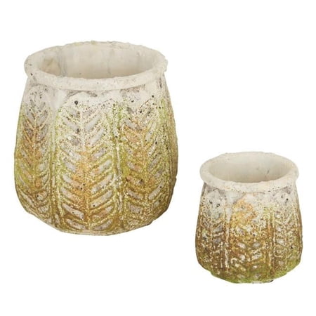 Ancient Leaf Cement Flower Pot (Set of 2)
