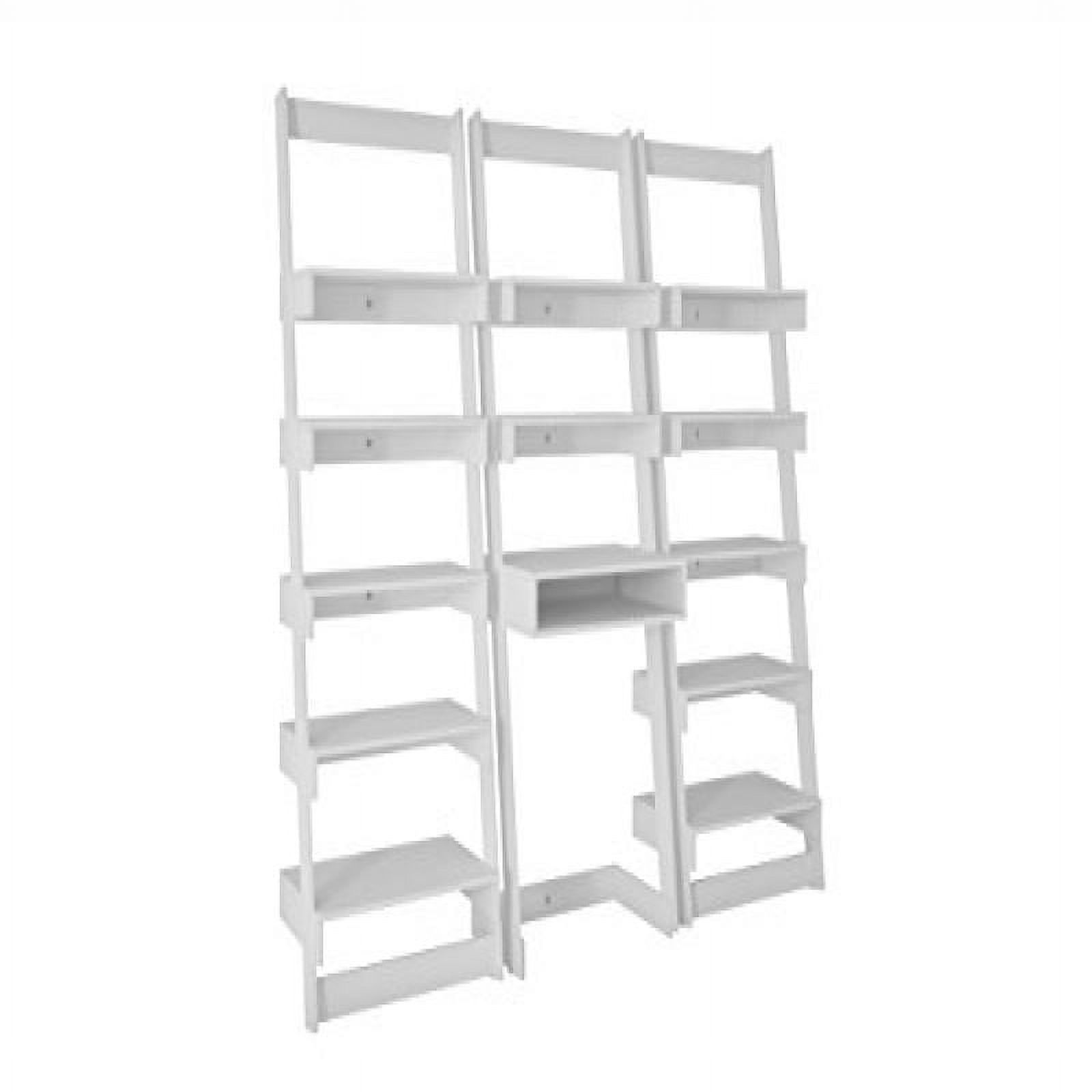 Accentuations by Manhattan Comfort 3 Piece Carpina Home Floating Ladder