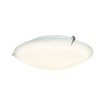 Access Lighting Flush Mount in Brushed Steel Color