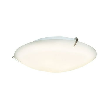 Access Lighting Flush Mount in Brushed Steel Color