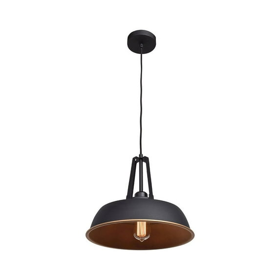Access Lighting Pendant in Matte Black Color