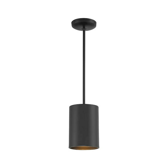 Access Lighting Pendant in Matte Black Color