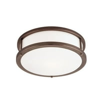 Access Lighting Flush Mount in Bronze Color