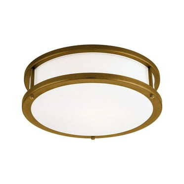 Access Lighting Flush Mount in Bronze Color