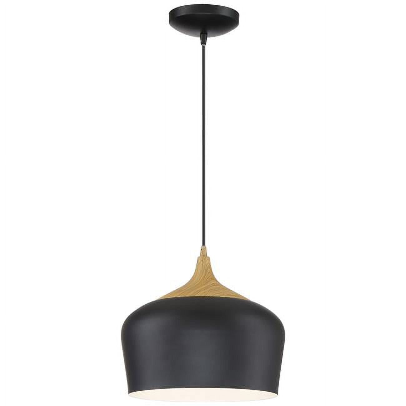 Vintage Globe Black Glass 14" Pendant Light with Incandescent LED
