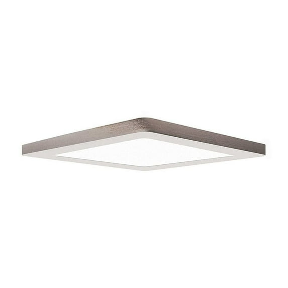 Access Lighting Dual Voltage LED Flush Mount in Brushed Steel Color