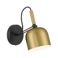 thumbnail image 1 of Access Lighting LED Reading Light in Antique Brushed Brass with Black Color, 1 of 11