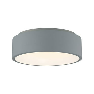 Access Lighting Dual Voltage LED Flush Mount in Gray Color