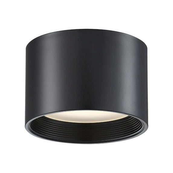 Access Lighting Dual Voltage LED Flush Mount in Black Color