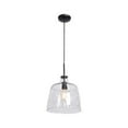 thumbnail image 1 of Access Lighting Pendant in Black Color, 1 of 3