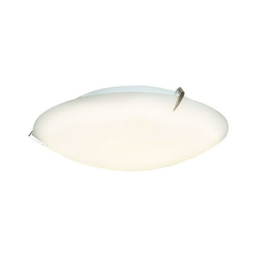 Access Lighting Flush Mount in Brushed Steel Color