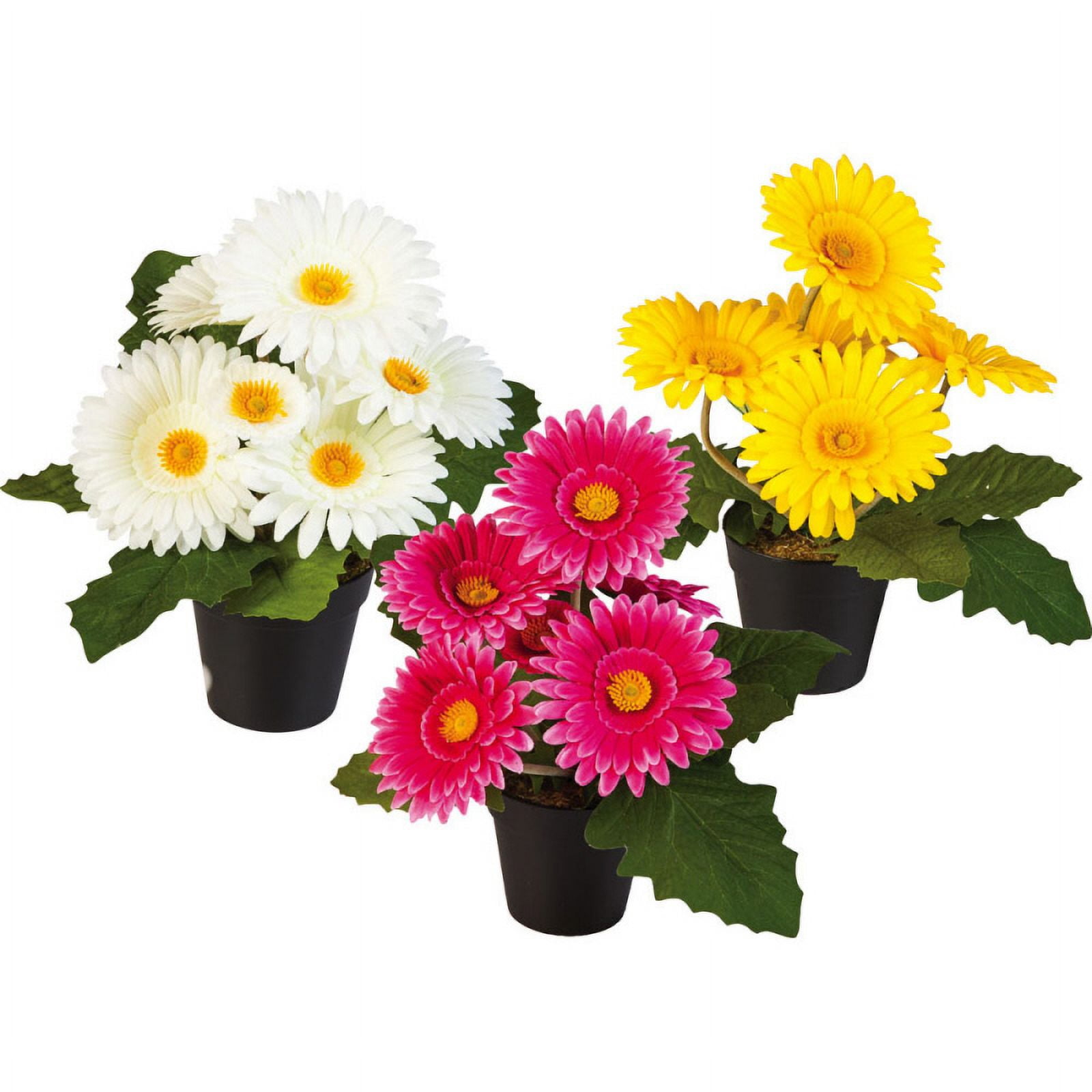 Accessory, 11" Potted Daisies 3 Assorted