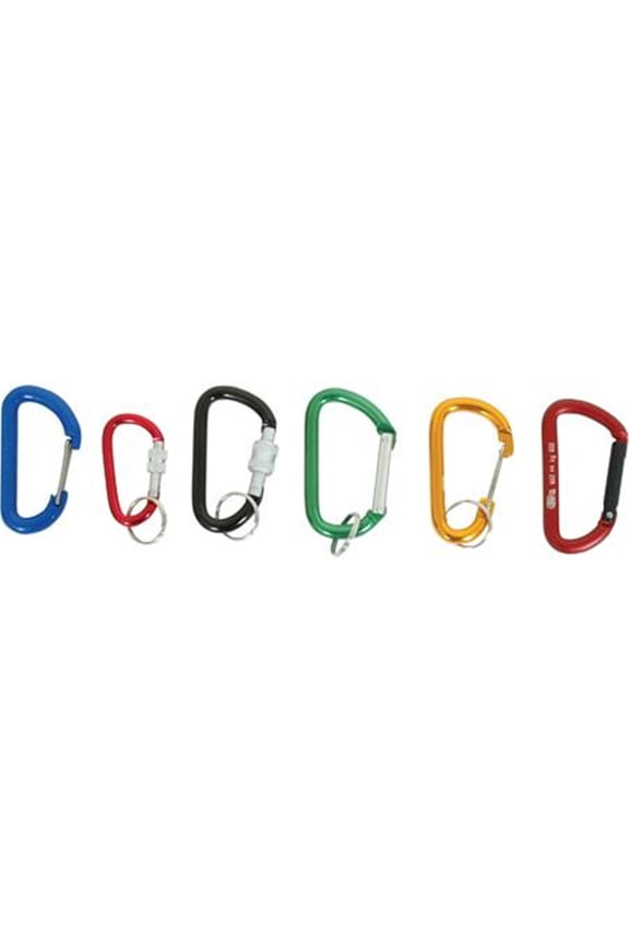 80mm Accessory Carabiners with Two Pin D Key Ring - Set of 2