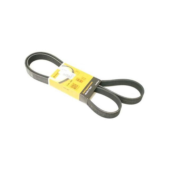 Accessory Drive Belt - Compatible with 2010 - 2023 BMW X5 2011 2012 2013 2014 2015 2016 2017 2018 2019 2020 2021 2022