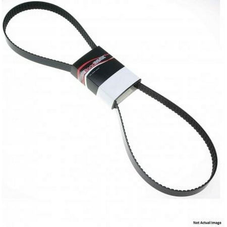 Accessory Drive Belt-High Capacity V-Belt (Standard) Roadmax 17455AP