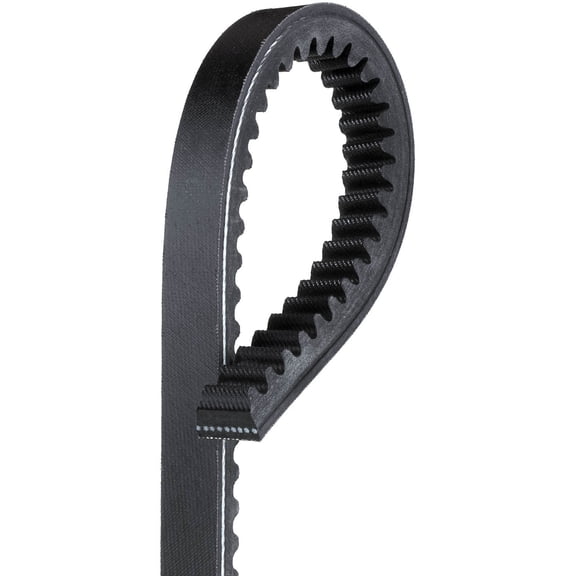 Accessory Drive Belt