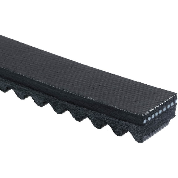 Accessory Drive Belt