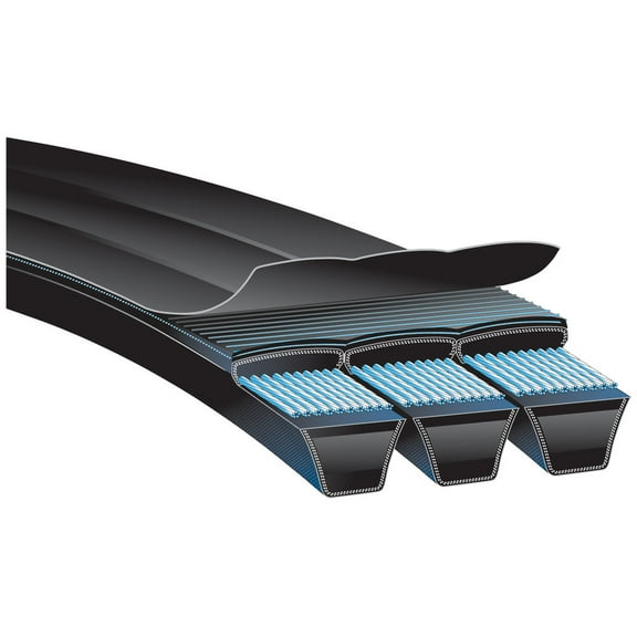 Accessory Drive Belt