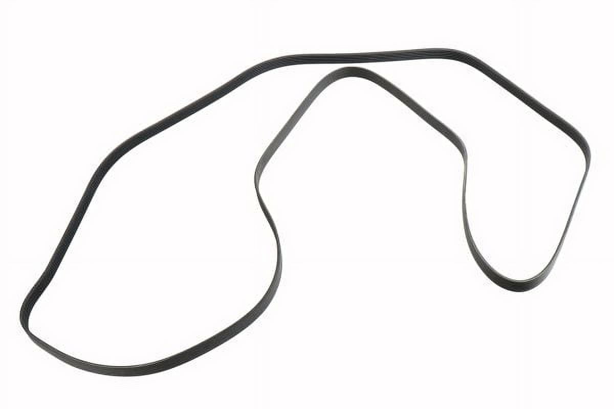 Accessory Drive Belt