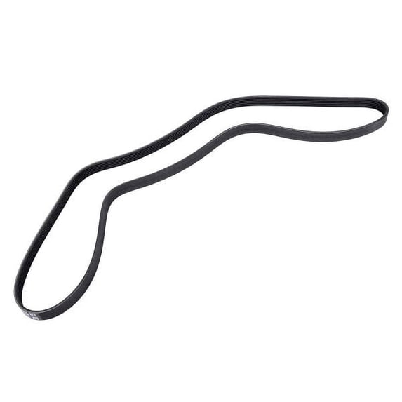 Accessory Drive Belt