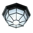 thumbnail image 1 of Acclaim Lighting 2002 2 Light 11" Width Outdoor Flushmount Ceiling Fixture, 1 of 2