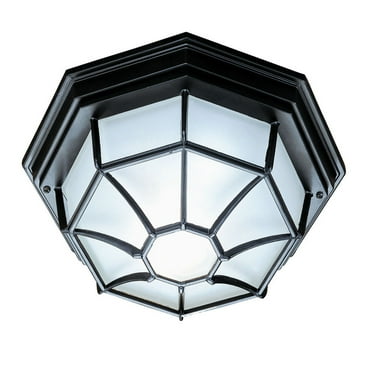 Acclaim Lighting 2002 2 Light 11" Width Outdoor Flushmount Ceiling Fixture