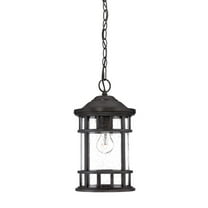 Acclaim Lighting 31946 New Vista 1 Light Outdoor Lantern Pendant